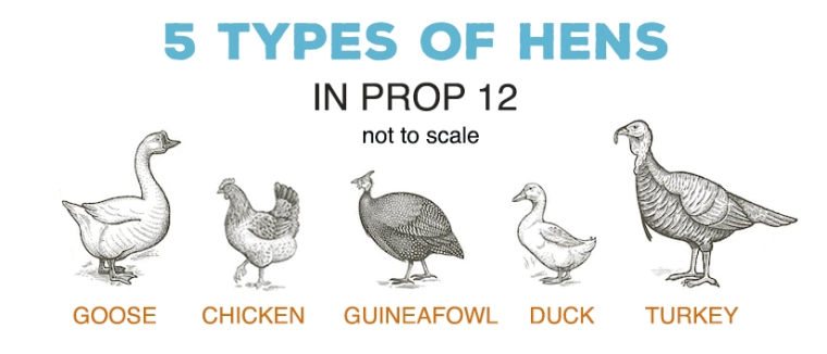 5 hen types CA 2